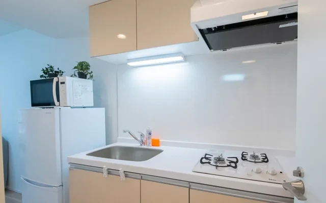 FL Residence Shinjuku Gyoen VI 3