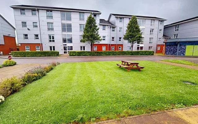 iQ Student Quarter 2