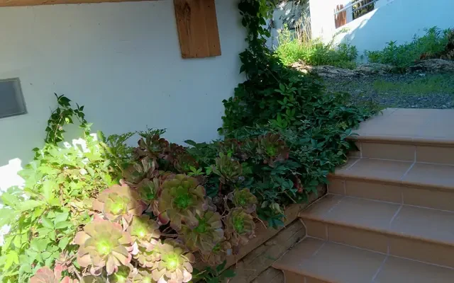 studio near Carrer Catalpa 0