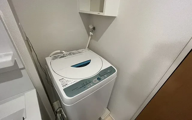 クレイノプルメリア 1