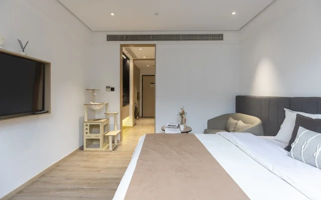 Qibao Zhongchun Road Store -- CJIA Prime Apartment 4