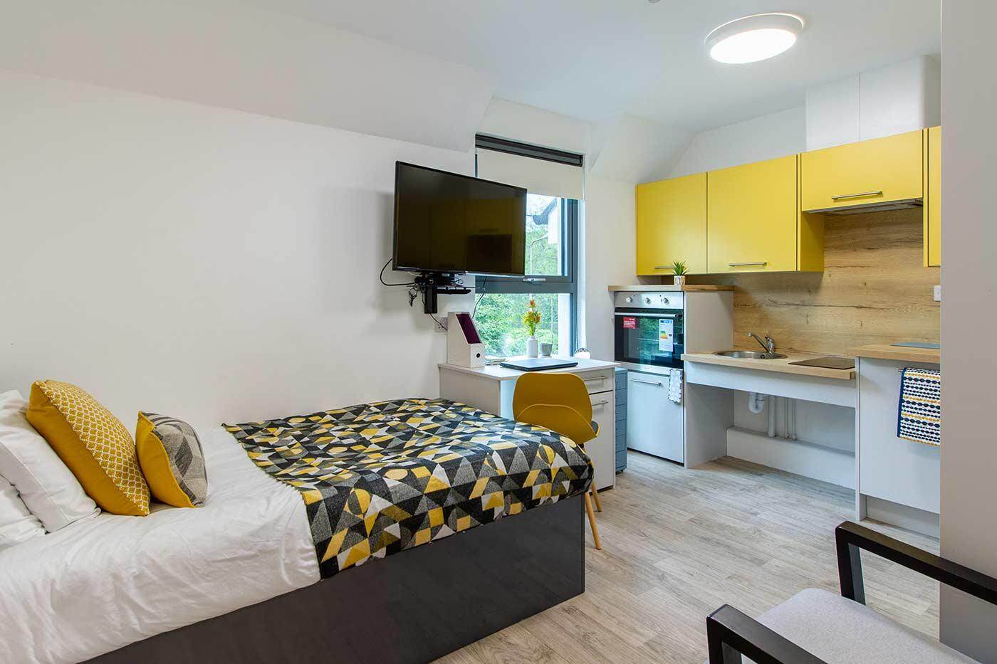 Deluxe Accessible Studio