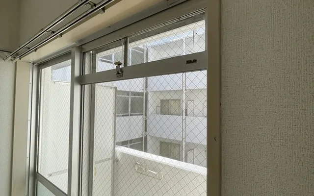 sun white isogo 4