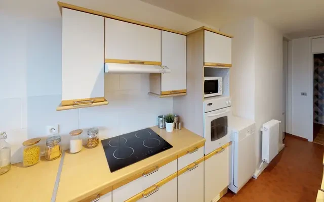 19 bis rue de Bazinghien, 59800 1