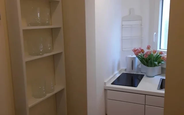 Apartment with park view 3