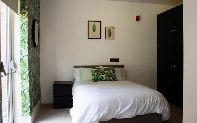 Shared Place·6B6B···Williams House 0