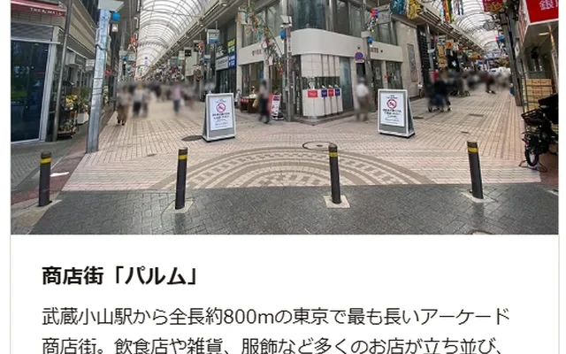 Lumie Musashikoyama 1