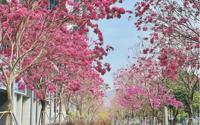 Yiju Apartment · Chuangzhi Yuncheng Building D 3