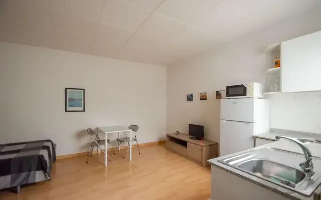 apartment in La Sagrada Familia (Eixample) 1