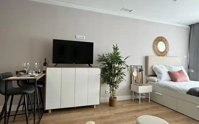 studio in University City (Moncloa) 4