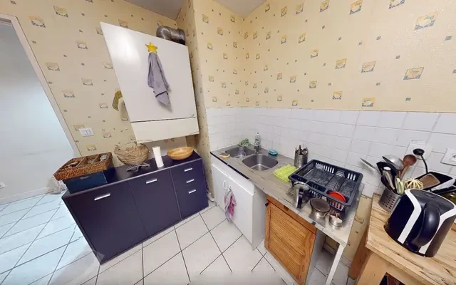 50 Rue Professeur Florence, 69003 3