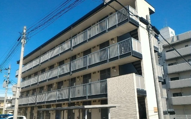 ミヤギノハギ 0