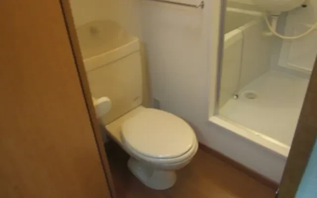 レオパレスＨＩすなやま - Niigata student accommodation - 203号房间(带独立厨房)