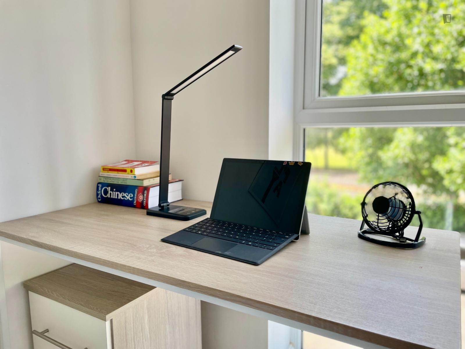 Modern new studio close to Solent University 2