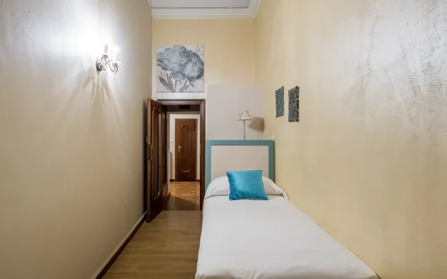 Rolandino Apartment in the city center 3