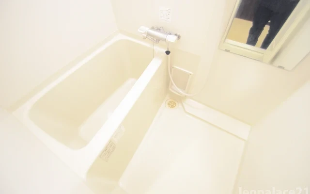 レオネクストプランドール 3