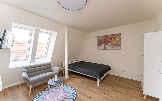 One room apartment 0