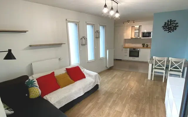 Ivry-sur-Seine 94e·60m²·F3·Appartement·With furniture 3