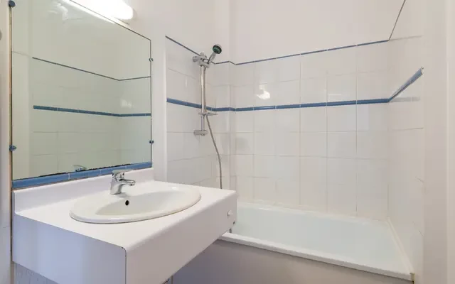 33 Rue Salomon Reinach, 69007 3