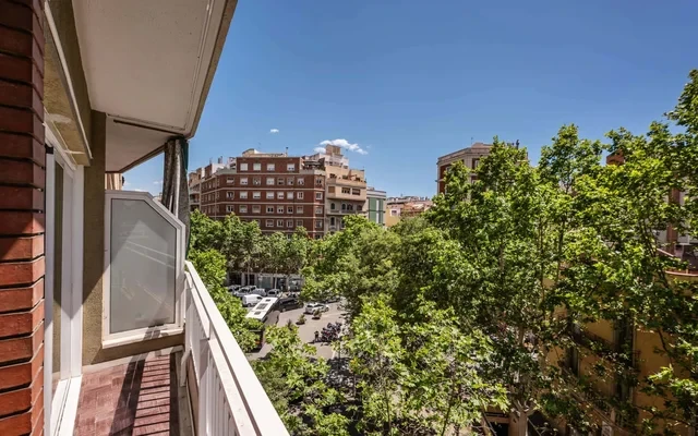 Gaudi Avenue 1