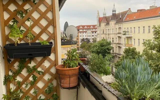 apartment in Wedding 1