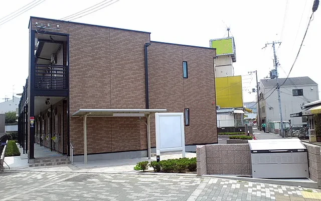 杉 3