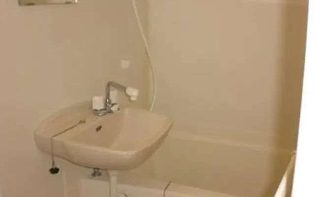 レオパレスアイリス 3