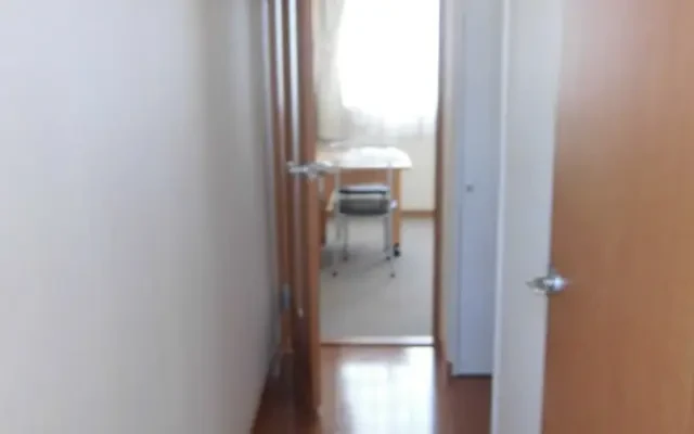 レオパレスハピネス - Sano student accommodation - 203号房间(带独立厨房)