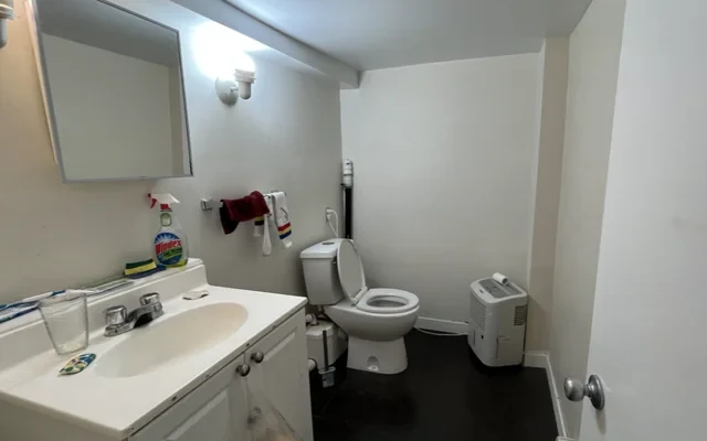 396 Alfred Street 4