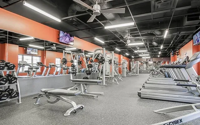 University Village Temple 2