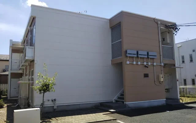 コウジマワリ 0
