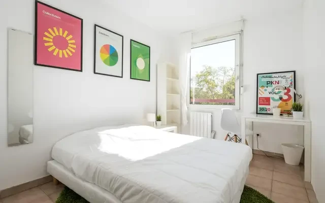 Cosy double bedroom not far from the Université Jean Moulin Lyon 3 3