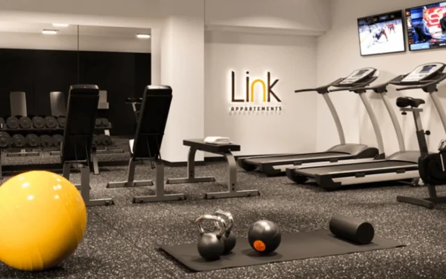 Link 1
