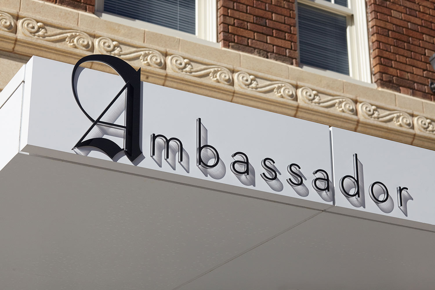 Ambassador 3
