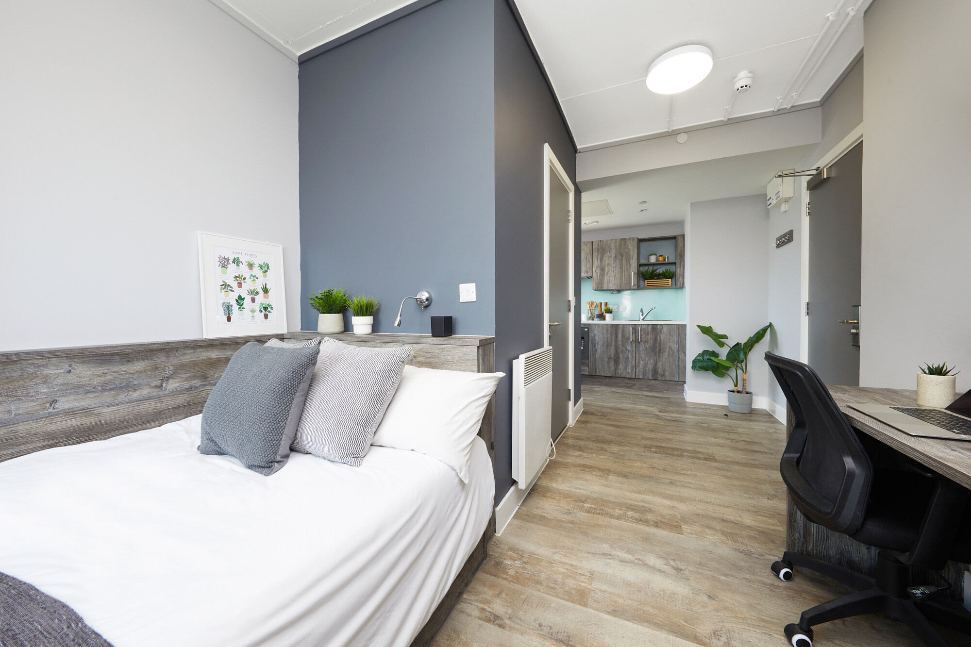 Premium penthouse Studio