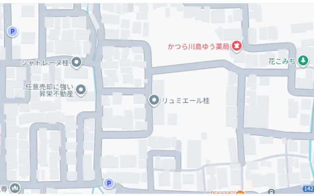 リュミエールカツラ 1