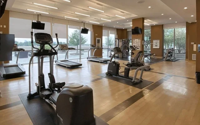 Ventus II at Metrogate Condos 2