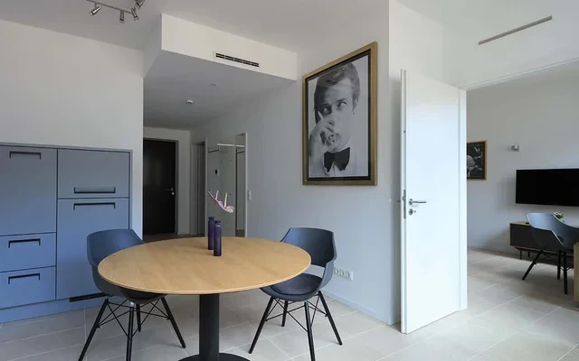 iONE- Cosy Apartment in the center of Bonn 3