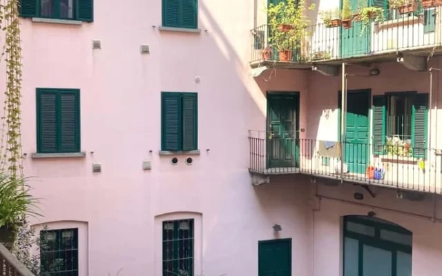 (MI) CANONICA 87 0