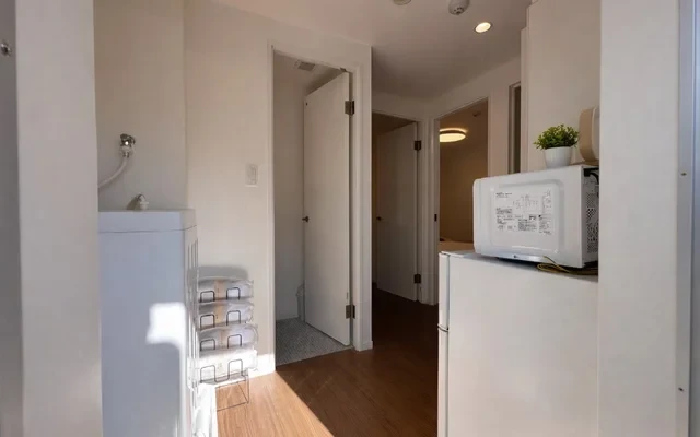 Louis Stage Nishigahara 2