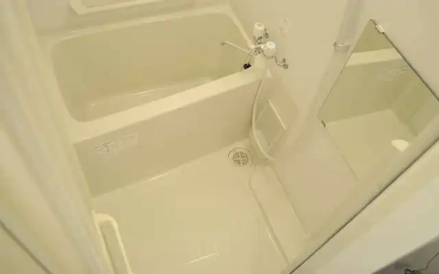 レオネクスト南本町 1