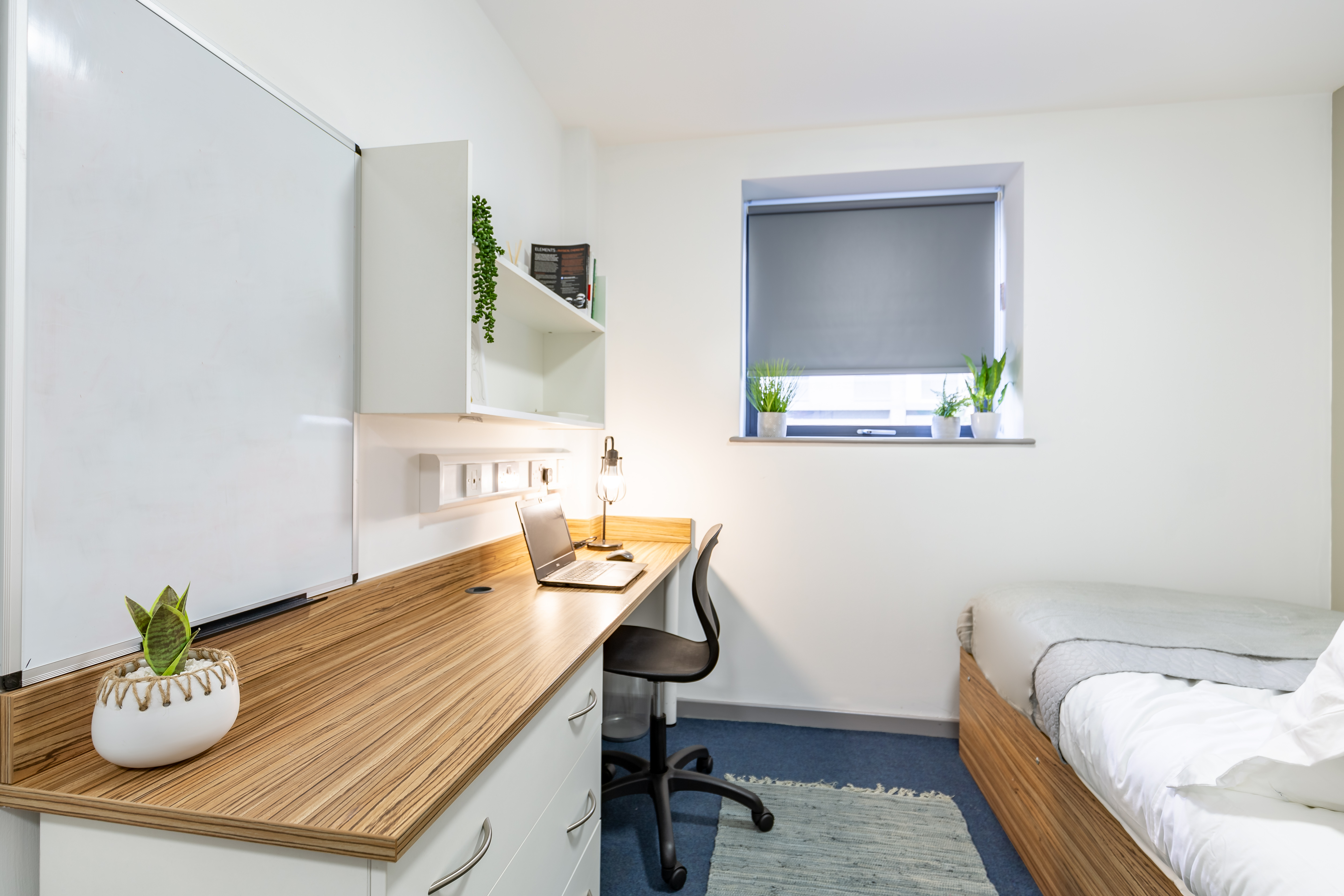 Standard Ensuite