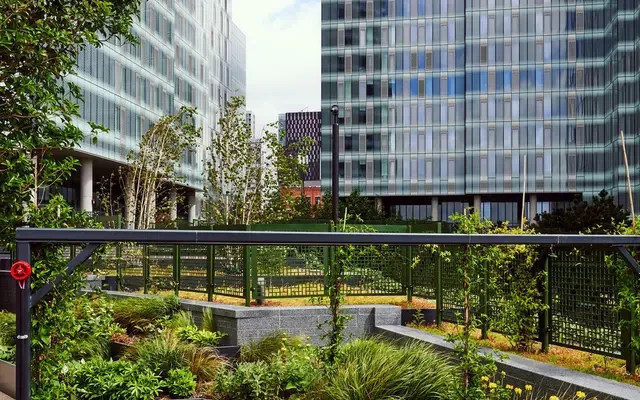Square Gardens 4