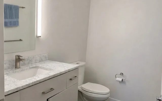 波士顿Allston 2b2b超大主卧 3