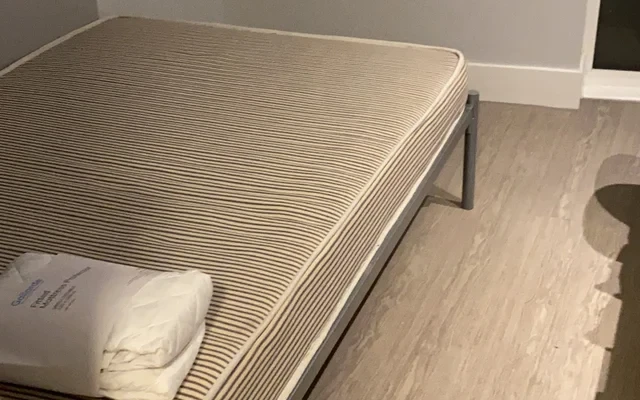 London iq magenta house 2