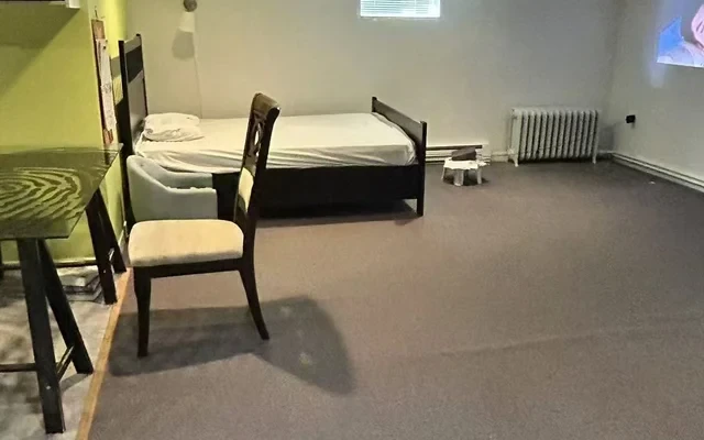 多伦多市中心卡萨罗马城堡附近别墅basement 2