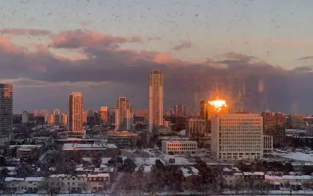 多伦多北约克，forest manor 4