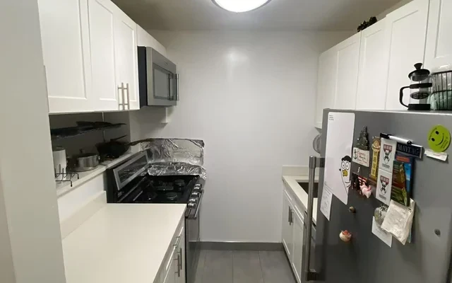 纽约罗斯福岛 Manhattan Park 2B2B 次卧长租 2
