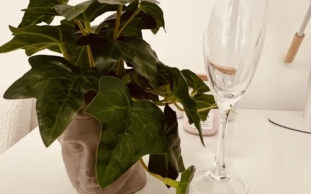 ROSIE HOUSE NEAR MONASH UNIVERSITY IN CLAYTON 2