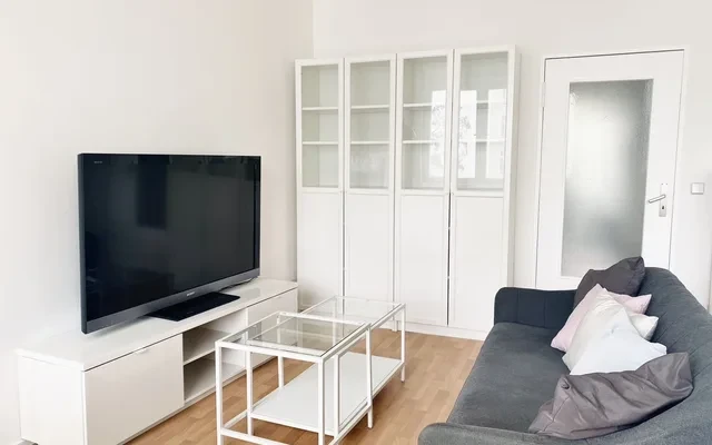 柏林工业大学TU旁43平单人公寓 2